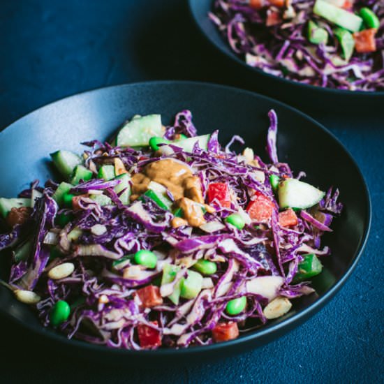 Rainbow Slaw with Peanut Dressing