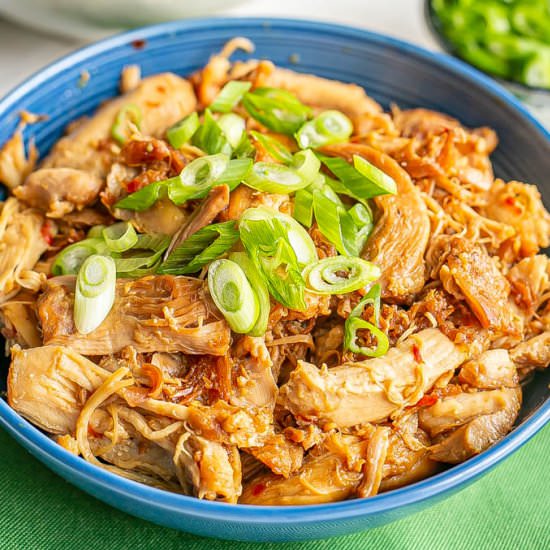 Instant Pot honey garlic chicken