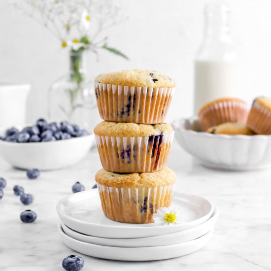 Vegan Blueberry Muffins