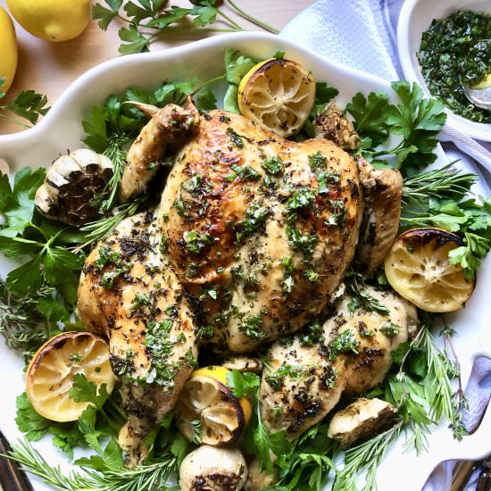 roast chicken with lemon & herbs