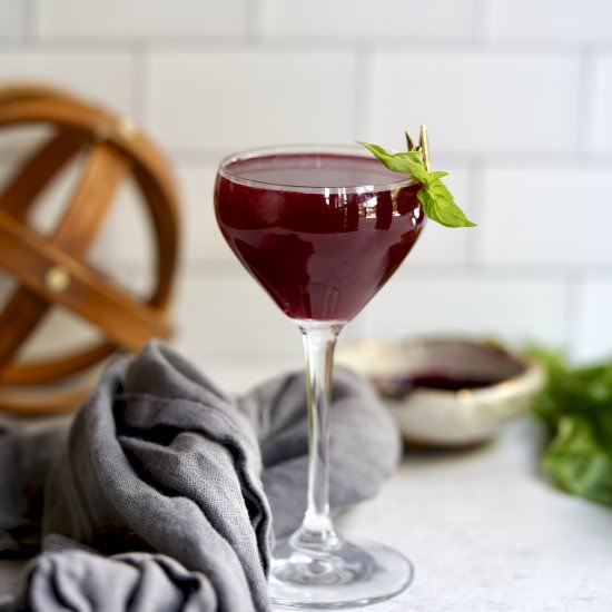 Blueberry-Basil Vodka Gimlet