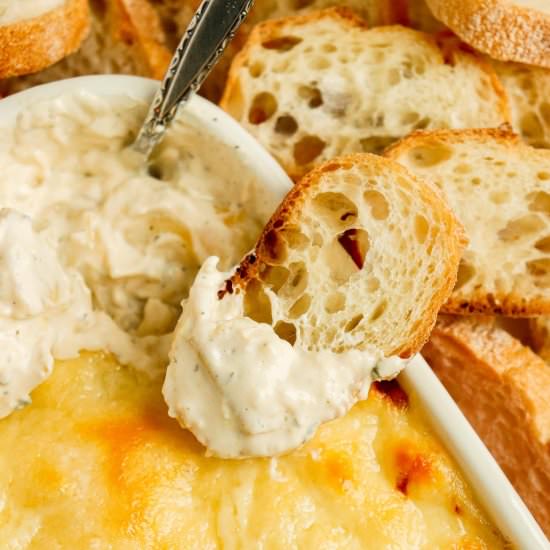 Creamy Garlic Artichoke Dip