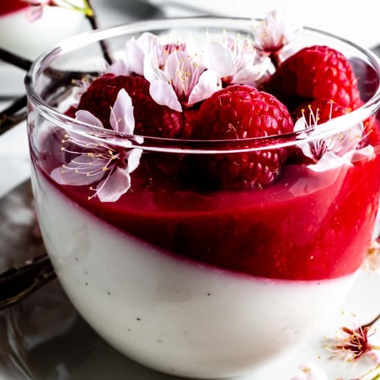 vanilla bean coconut panna cotta