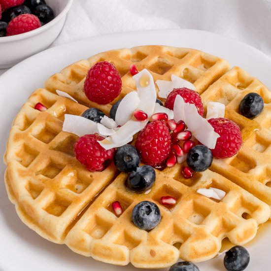 The Best Gluten Free Waffles