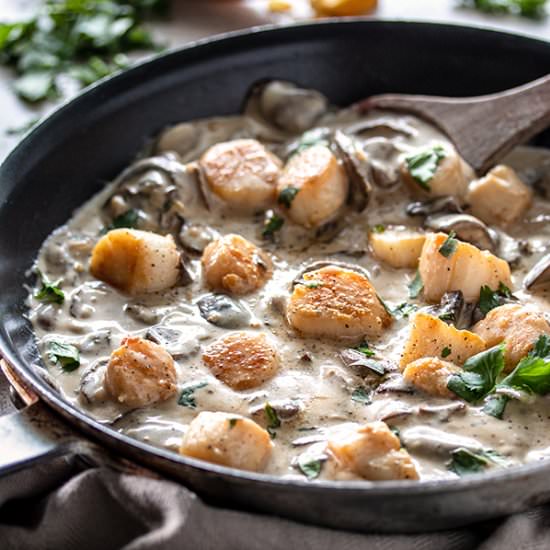 Scallops with Mushroom Sauce