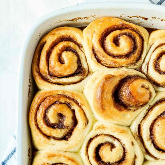 The BEST Cinnamon Buns