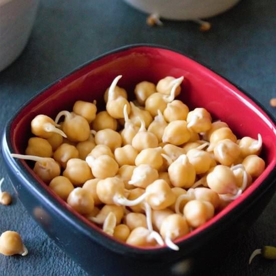 How to make sprouts