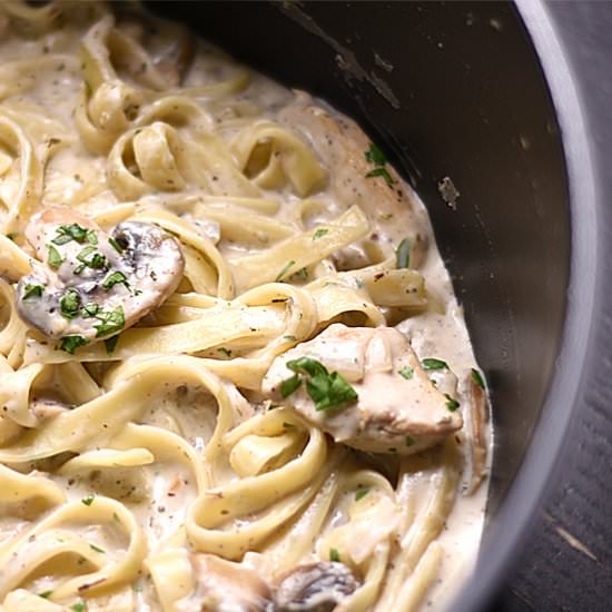 Chicken Alfredo Pasta