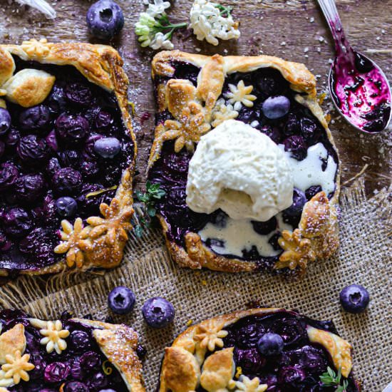 Vegan Juicy Blueberry Tarts