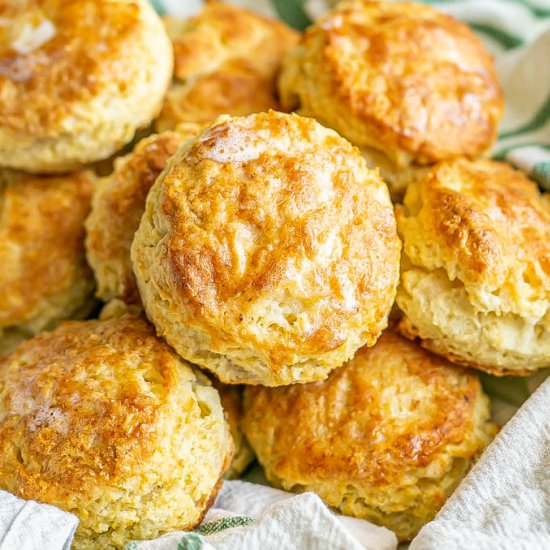 Best Homemade Biscuits
