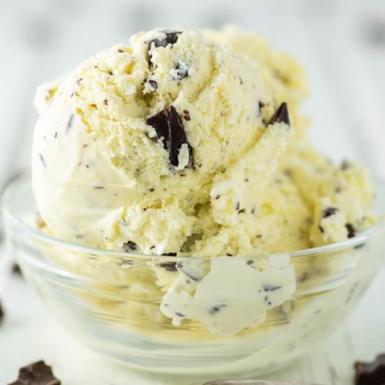Chocolate Chip Ice Cream