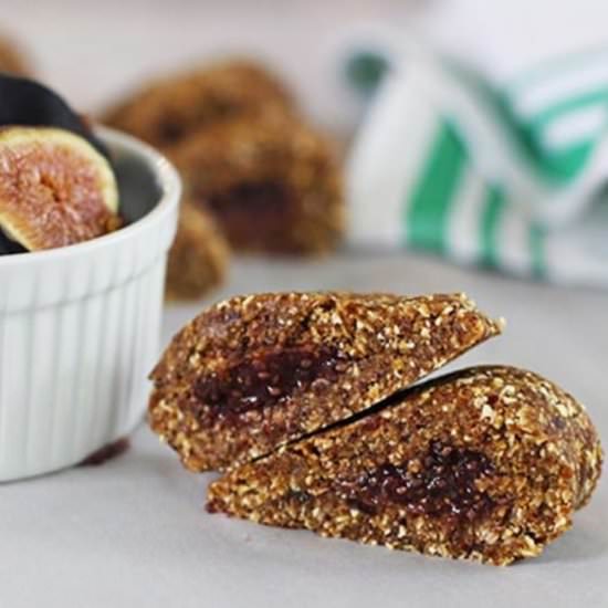 Raw Fig Newton Bars