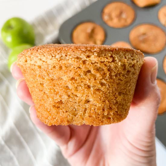 Apple Cinnamon Protein Muffins