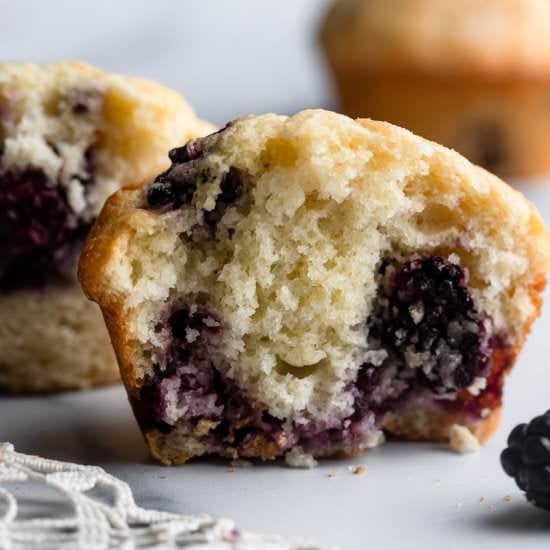 Blackberry Muffins