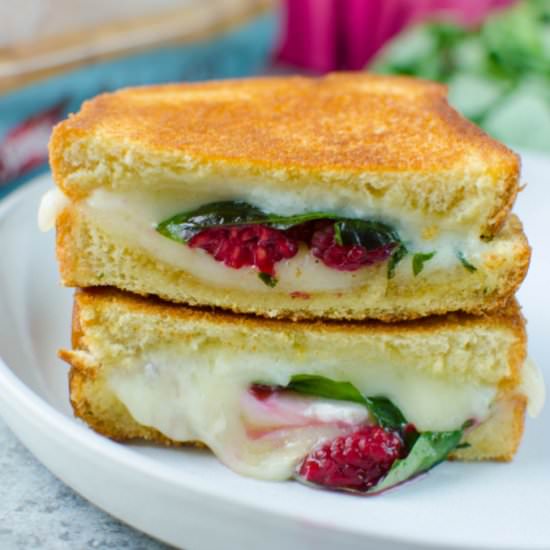 Raspberry Brie Grilled Cheese