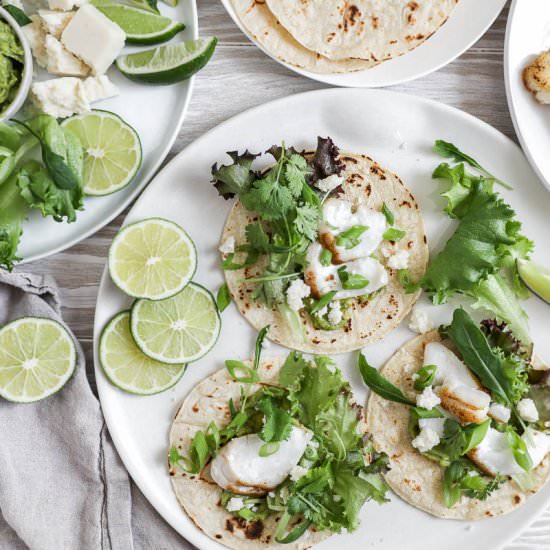 Pan Fried Fish Tacos