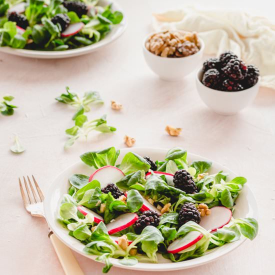 SALAD WITH BLACKBERRIES, TUNA AND W