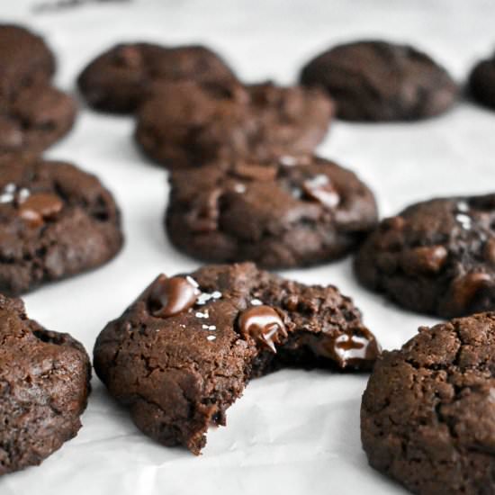 Double Chocolate Chip Cookies