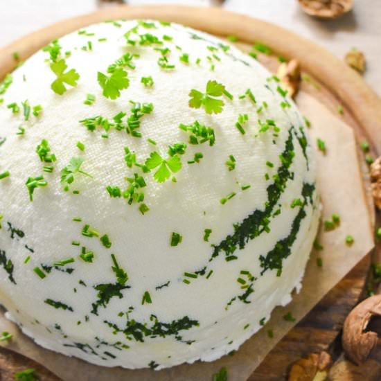 HOMEMADE CHEESE RECIPE OR HOW TO MA