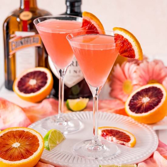 Blood Orange Martini