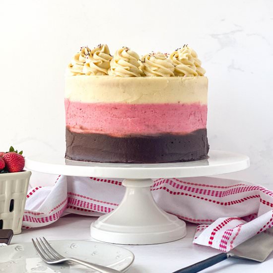 Neapolitan Cake