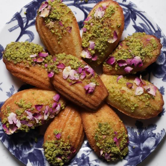 Persian love madeleines