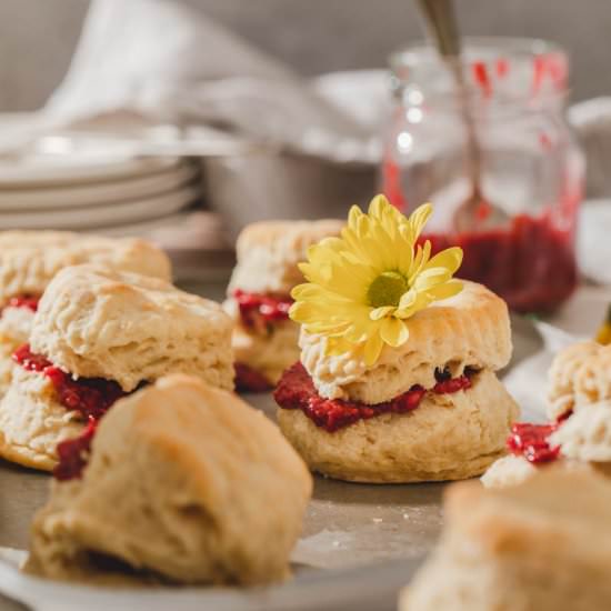 The Best Ever Vegan Biscuits