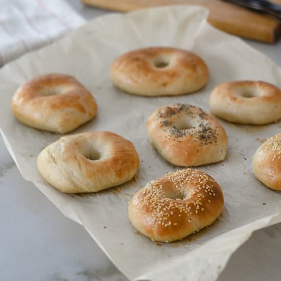 Best Steam Bagels