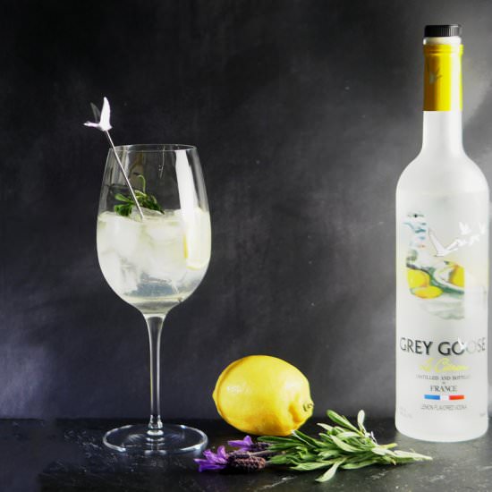 Le Grand Fizz with Grey Goose