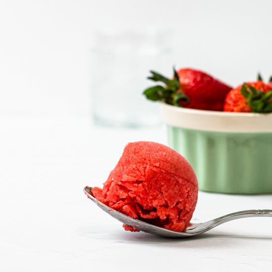 Ice Cream Maker Strawberry Sorbet