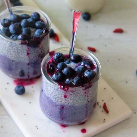 Chia seed Pudding with Blueberries