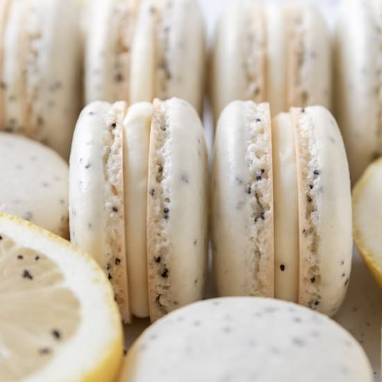 Lemon Poppy Seed Macarons