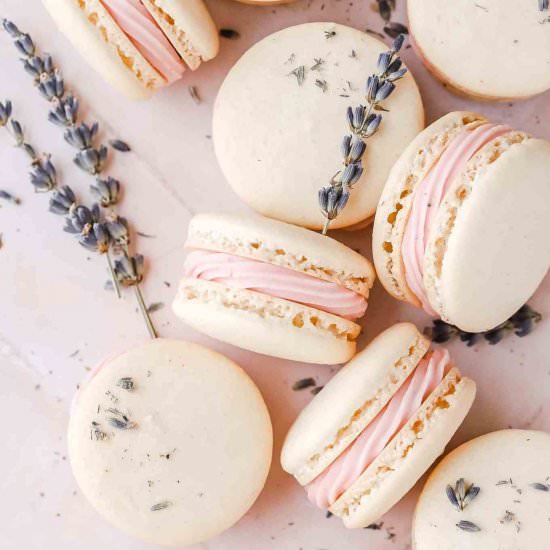 Blackberry Lavender Macarons