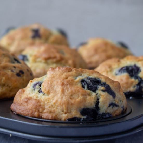 Homemade Blueberry Muffins
