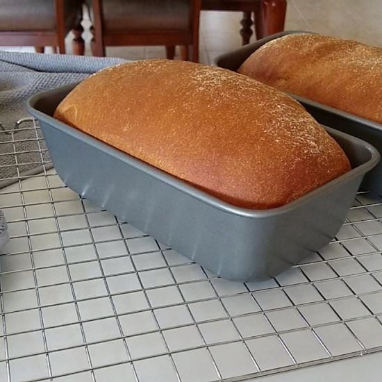 Soft Whole Wheat Bread