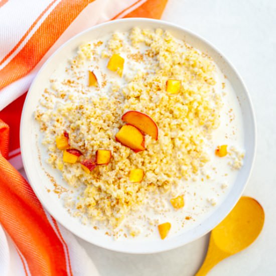 Instant Pot Millet Porridge