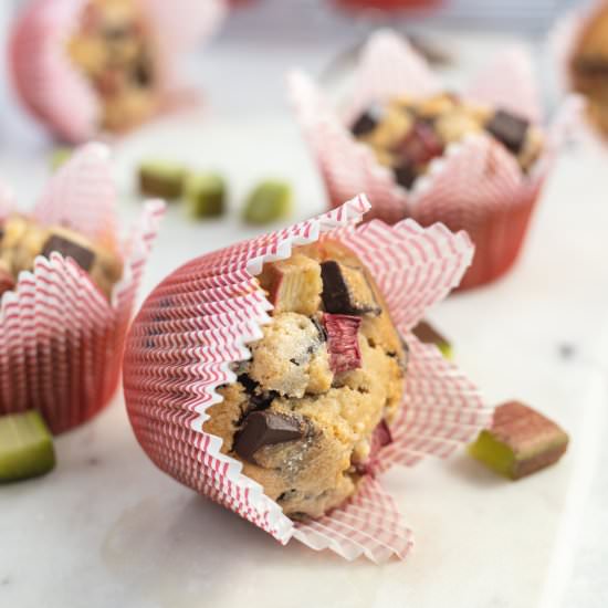 Rhubarb and chocolate muffins