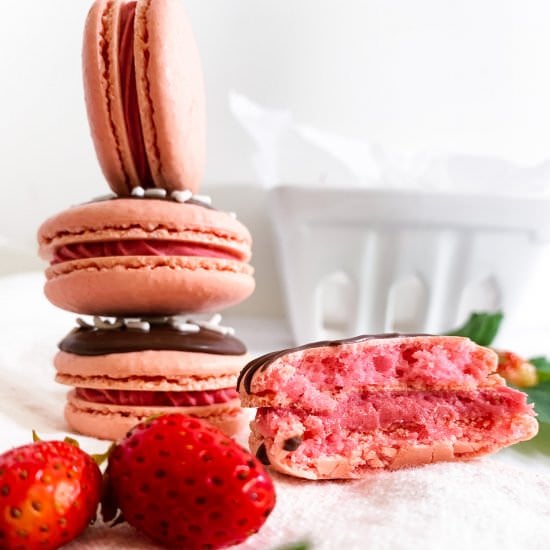 Strawberry Cheesecake Macarons