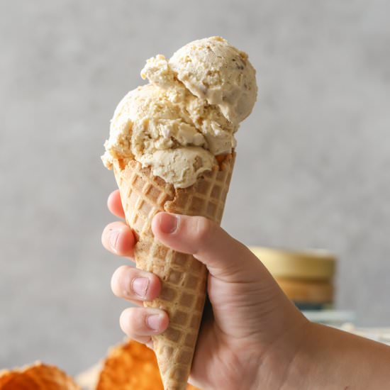 Cookie Butter Crisp Ice Cream