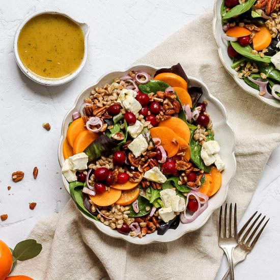 Persimmon Salad