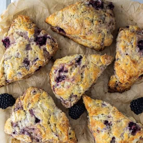 Blackberry Scones