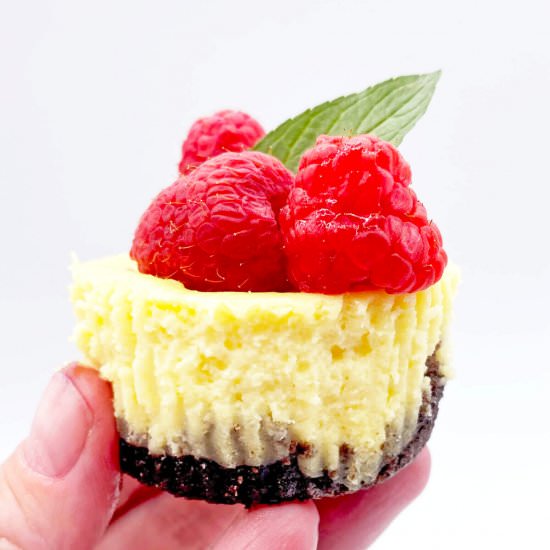 Mini Cheesecakes