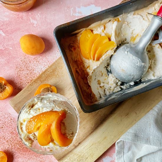 The Best No-Churn Vanilla Ice Cream
