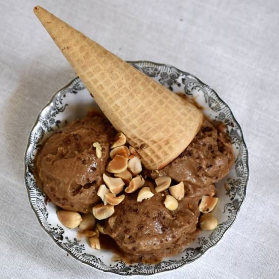 Vegan Coconut Chocolate Ice Cream