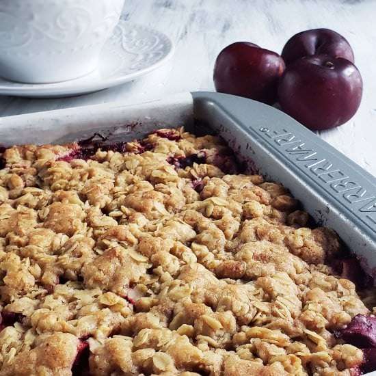Plum Oatmeal Bars