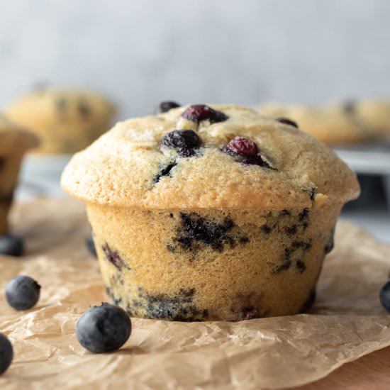 Classic Vegan Blueberry Muffins