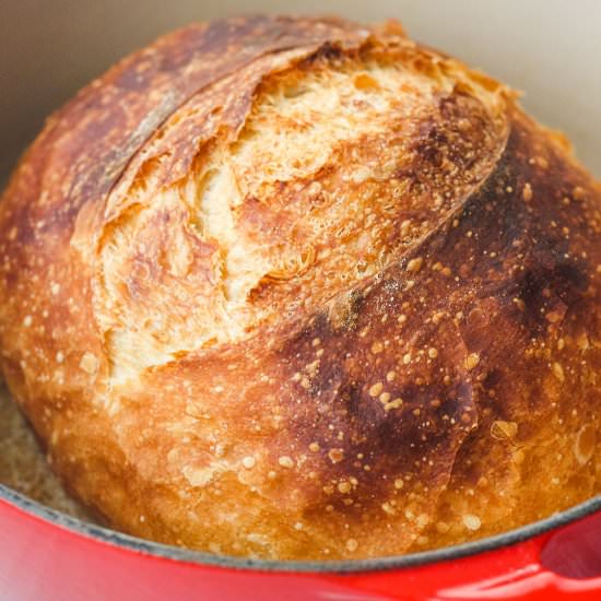 Small No Knead Bread