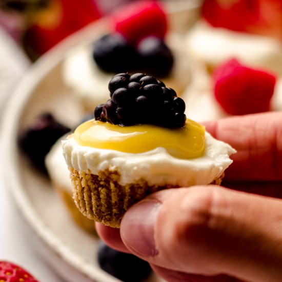 no bake cheesecake bites
