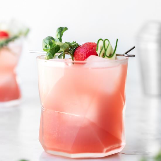 watermelon cocktail with vodka