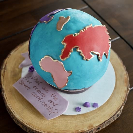 Strawberry hibiscus cake-earth cake